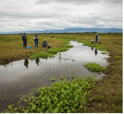 Evaluación, manejo y restauración de ecosistemas acuáticos