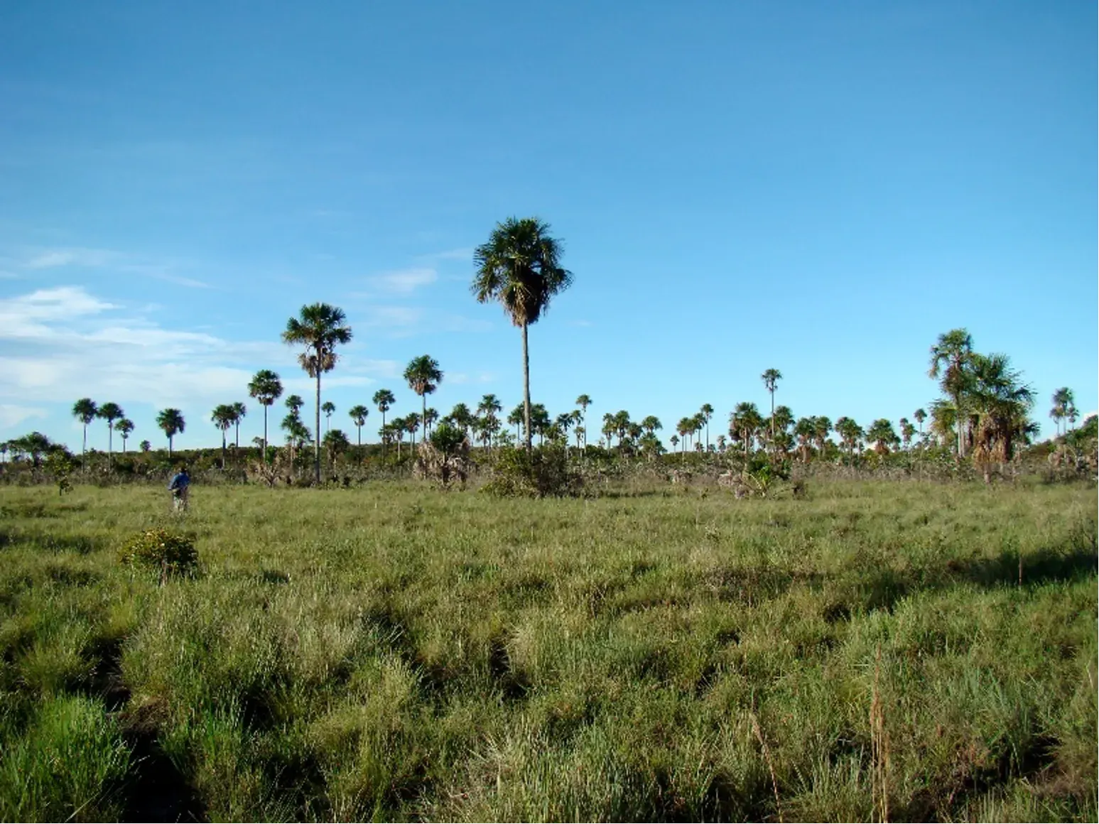 Paisaje para compensación biótica