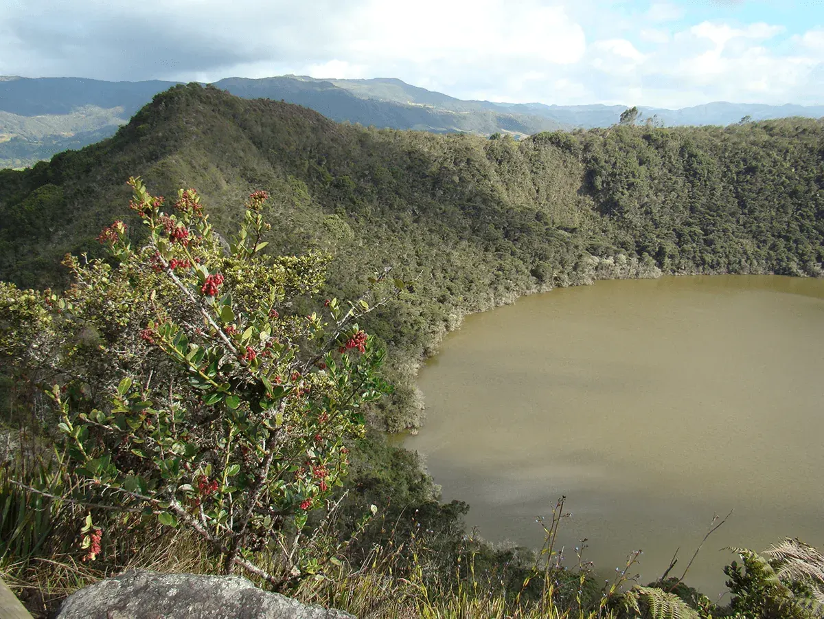 Fauna silvestre en un ecosistema natural