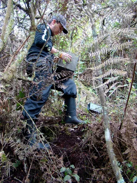 Rescate de fauna